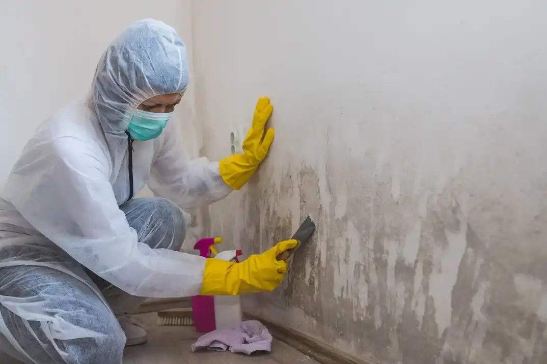 water damage restoration service Ridgecrest Estates